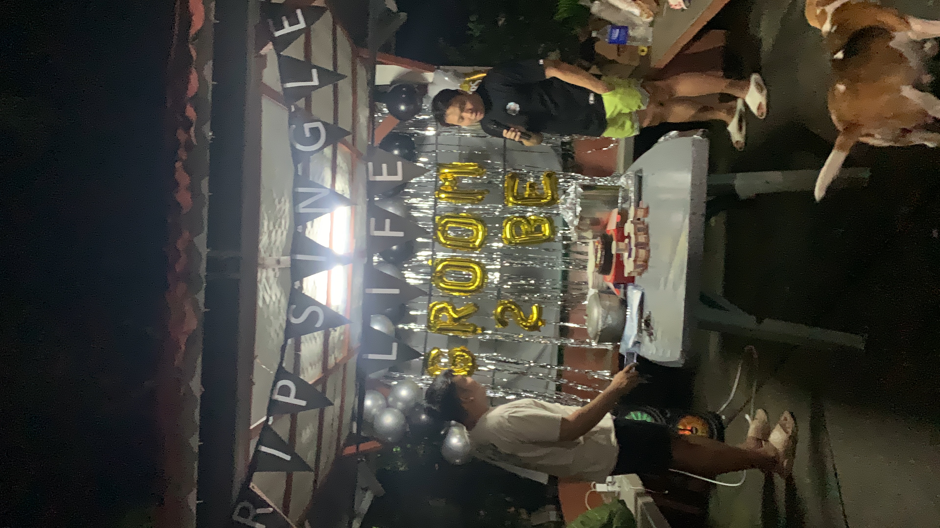 Bachelors Party - Goodbye Freedom